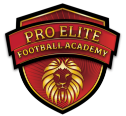 Pro Elite Football Academy