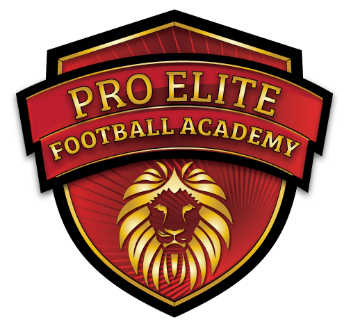 Pro Elite Football Academy